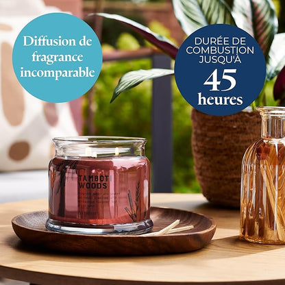 PartyLite Tamboti Woods Scented, Notes of Exotic Amber, Patchouli, Lavender & Green Moss, 13.2oz 3-Wick Jar Candle, 45 Hour Burn Time, Luxurious Fragrance, Perfect for Gifting