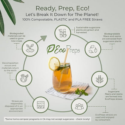 Biodegradable Sugarcane Straws | 150 Count, 100% Compostable, Plastic-Free, & Eco-Friendly Drinking Straw | 7.8'' Sugar Fiber Disposable Straws, Smoothie Straw for Home, Restaurant, Parties