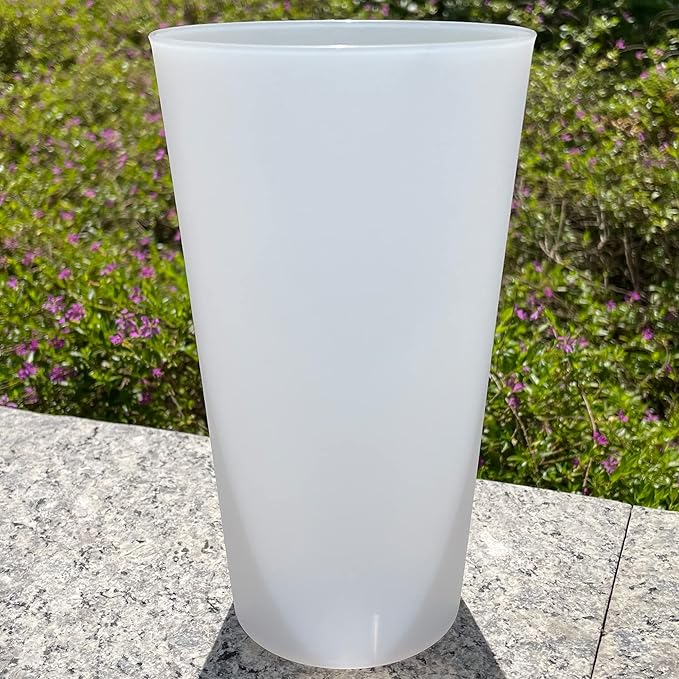 AOYITE Large Plastic Cups 32 oz - Reusable Big Drinking Cup set of 12 - BPA Free Dishwasher Safe Tall Drinking Glasses - Unbreakable Water Tumblers for Kids Kitchen Outdoor
