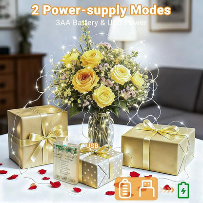 litogo 6 Pack Fairy Lights Battery Operated with Timer, 33FT 100LED Twinkle String Lights USB-C Powered 8 Modes Dimmable for Indoor Bedroom Centerpiece Wedding Classroom Dorm Christmas Decorations