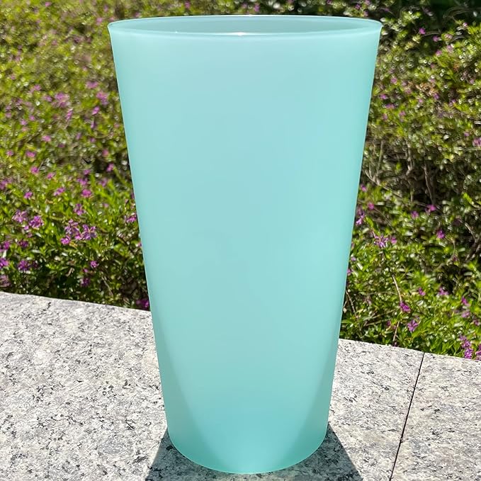 AOYITE Large Plastic Cups 32 oz - Reusable Big Drinking Cup set of 12 - BPA Free Dishwasher Safe Tall Drinking Glasses - Unbreakable Water Tumblers for Kids Kitchen Outdoor