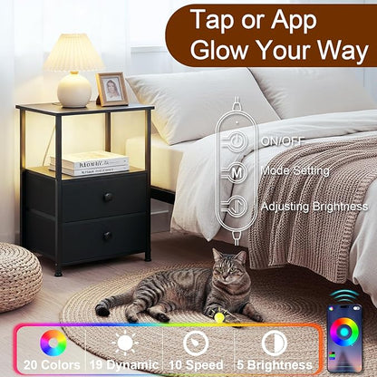 Night Stand Set 2, LED Nightstand with Charging Station, End Tables with Storage Shelf, Bed Side Table with 2 Fabric Drawers for Bedroom, Small Spaces, Black, HETS02BK