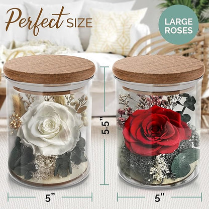 Red Rose in a Glass Dome - Premium Real Roses that Last a Year or More - Mother's Day Unique Gifts For Her Preserved Roses - Forever Flower Decor Preserved Flowers - Eternal Rose Display