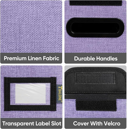 BALEINE File Organizer Box with Lid, Collapsible File Folder Organizer with Plastic Slide, Hanging File Folder Box for Office Document Storage (2 Pack, Purple, S)