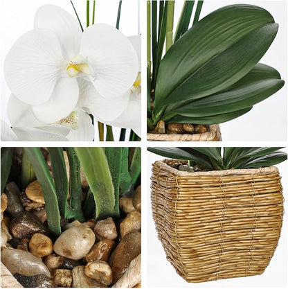 Hollyone 21.6" White Orchid Artificial Flowers Fake Orchid in Rattan Woven Vase Faux Orchids Phalaenopsis Arrangement in Pot for Office Table Centerpiece Shelf Wedding Indoor Outdoor Home Decor