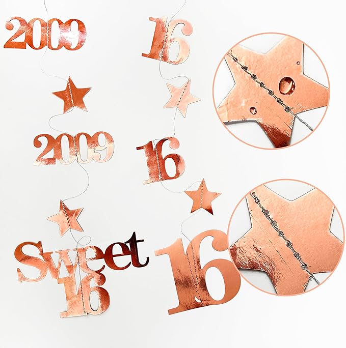 12PCS Rose Gold 16th Birthday Decorations Number 16 and 2009 Star Garland Streamer Banner Backdrop for Girls Boys Cheers to 16 Years Birthday Vintage Made in 2009 Sweet Sixteen Party Decor Supplies