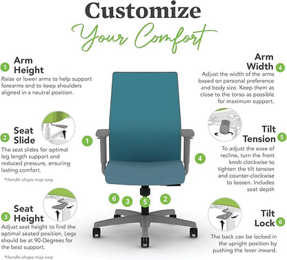 HON Ignition 2.0 Mid Back Task Chair, Spectrum Mesh, Standard Synchro-Tilt Control, Office Chair with Lumbar Support, Height and Width Adjustable Arms, Titanium Frame, Sky