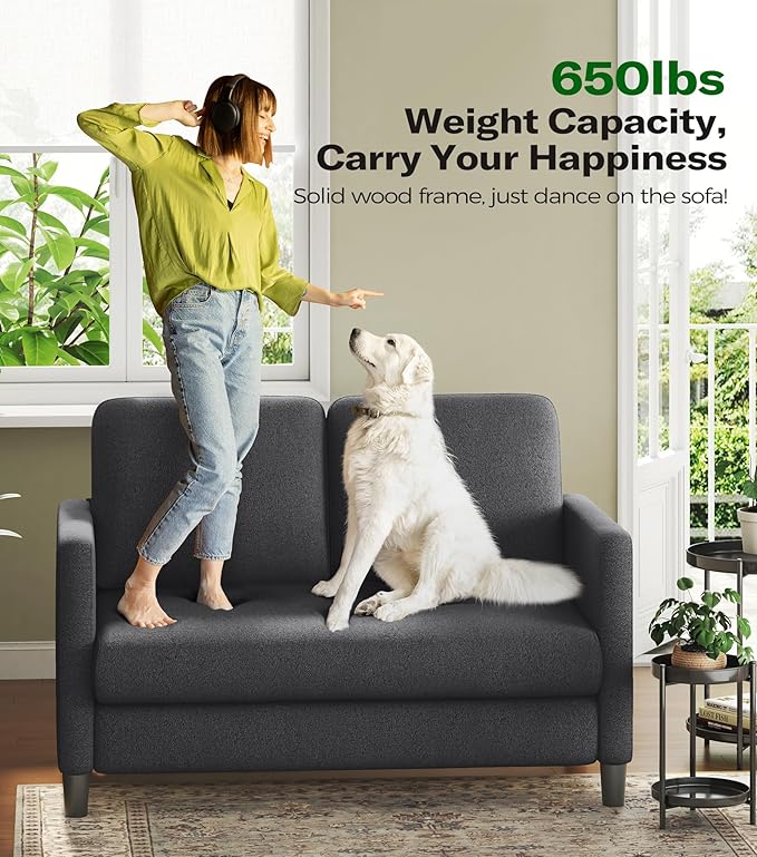 Loveseat Sofa, 51" Love Seat, Comfy Teddy Small Loveseat for Small Spaces, Tool-Free Setup Sofa Couch for Bedroom, All-Wood Couches for Living Room, No Pillow Included, Grey