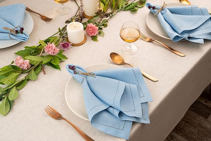 D'Moksha Homes Powder Blue Linen Napkins Set of 8 - Classic Hemstitch 100% Pure Linen Dinner Napkins Cloth 20 x 20 Inch for Winter, Christmas, Holiday - Handcrafted and Machine Washable