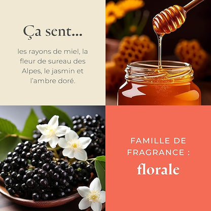 PartyLite Raw Honey & Elderberry Scented, Notes of Alpine Elderflower, Soft Jasmine & Golden Amber, 13.2oz 3-Wick Jar Candle, 45 Hour Burn Time, Luxurious Fragrance, Ideal for Gifting