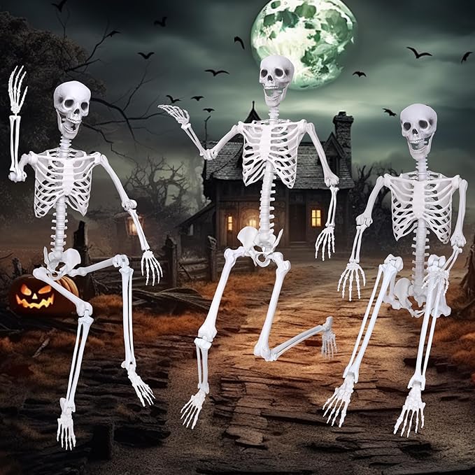 Wocst 6Ft Life Size Skeleton Posable Skeleton with Movable Joints Halloween Full Body Plastic Human Bones with 2PCS Black Crows for Halloween Indoor Outdoor Decor