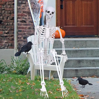 Wocst 6Ft Life Size Skeleton Posable Skeleton with Movable Joints Halloween Full Body Plastic Human Bones with 2PCS Black Crows for Halloween Indoor Outdoor Decor