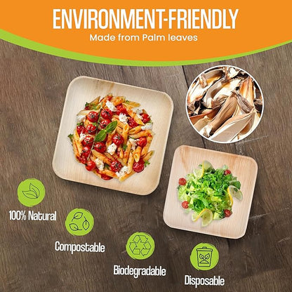 Raj Palm Leaf Plates Bulk [50-Pack] 10" & 7" Square Plates (10 CASES - 500 PACK) like Bamboo plates Disposable, Strong, Decorative Compostable Tableware for weddings, Lunch, Dinners
