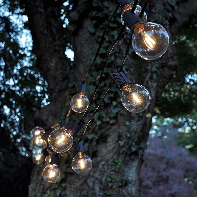 Hometown Evolution, Inc. G50 2" LED Filament Outdoor Patio String Lights with 0.6 Watt Light Bulbs (G50 LED - Green Wire, 100 ft)