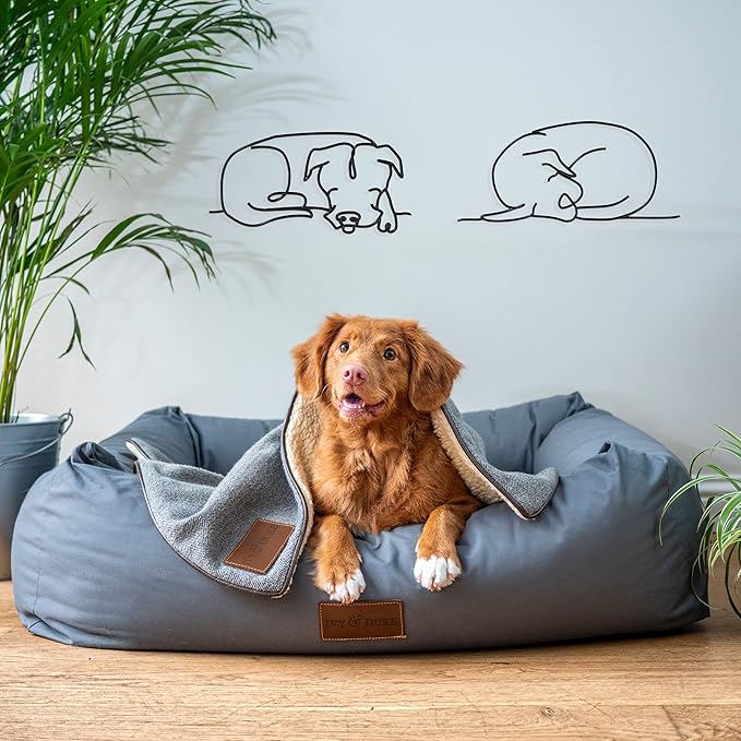 Matani Metal Dog Wall Art | Metal Wall Decor | Minimalist Room & Living Room Wall Decor (Sleeping Labrador)