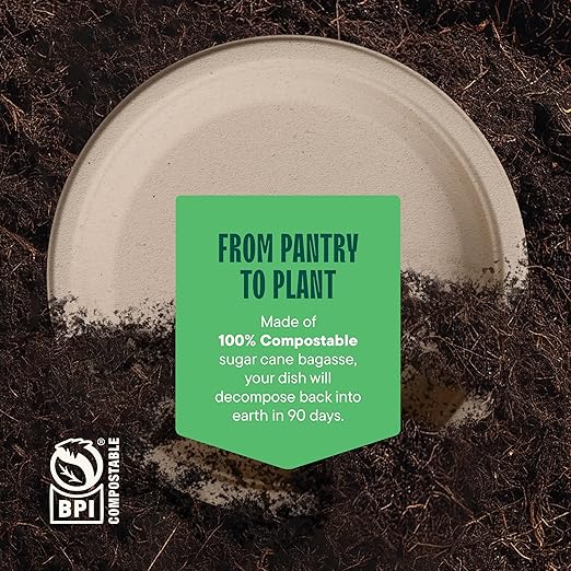 100% Compostable Paper Plates 9 Inch [500 Count] Heavy-Duty Dinner Plates - Natural Brown Color Unbleached Bagasse - Eco-Friendly Disposable Biodegradable Sugarcane Plates - [Bulk Case 4 x 125 Pack]