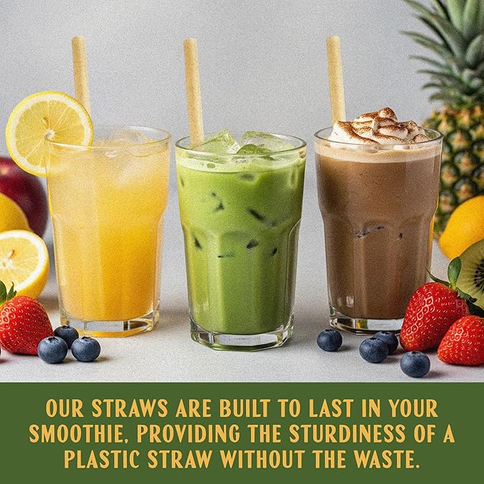 8 Inch Agave Straws - 200 CT Cocktail – Biodegradable
