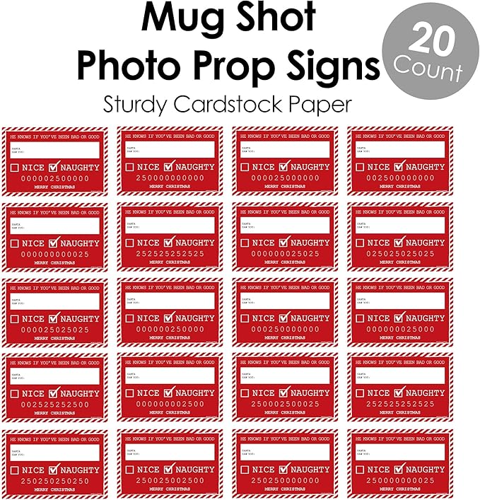 Big Dot of Happiness Santa's Naughty List Mug Shots - Christmas Party Photo Booth Props Party Mugshot Signs - 20 Count
