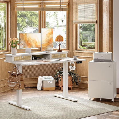 TIQLAB Standing Desk with Two Drawers, Stand Up Standing Desk Adjustable Height, Electric Sit Stand Table with Storage Shelf and Splice Board, 55 * 24 inch, White Wicker