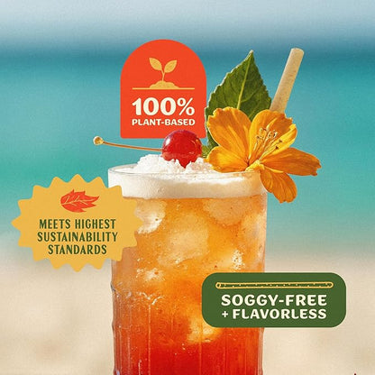 8 Inch Agave Straws - 200 CT Cocktail – Biodegradable