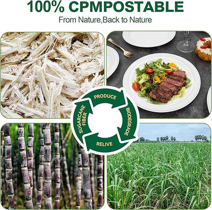 DaYammi 100% Compostable Paper Plates 9 Inch, 125-Pack Heavy Duty Paper Plates Bulk,Biodegradable Bagasse,Eco-Friendly Disposable Dinner Plate for BBQ,Picnic,Party (BPI Certified,Microwaveable)