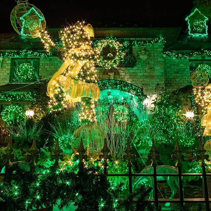 TW SHINE Green Christmas Lights, 200 LED 66FT Outdoor Christmas Lights Plug in with 8 Modes, Waterproof Green Wire St. Patrick's Day Light Outdoor, Indoor Xmas Decorations for Party Yard Room Decor