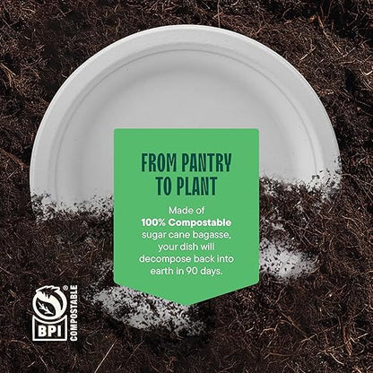 100% Compostable Paper Plates 9 Inch [500 Count] Heavy-Duty Dinner Plates - White Bagasse - Eco-Friendly Disposable Biodegradable Sugarcane Plates - [Bulk Case 4 x 125 Pack] - (BPI Certified)