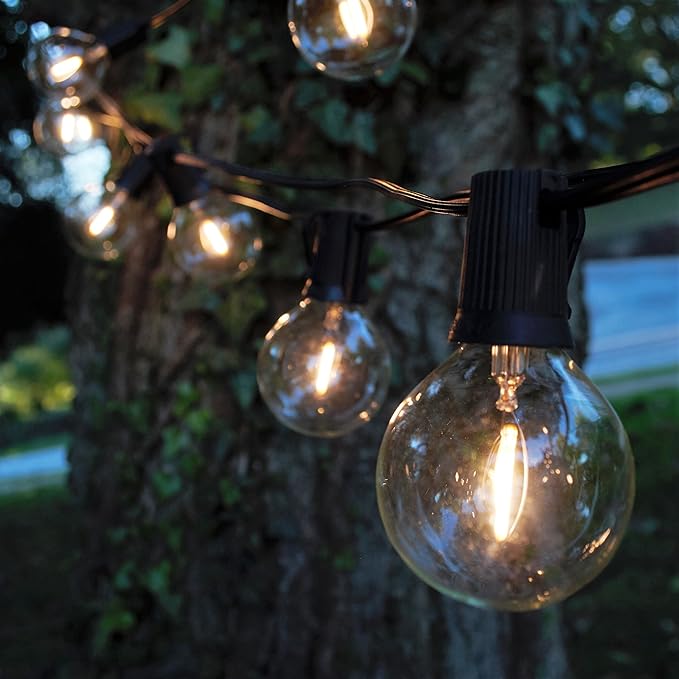 Hometown Evolution, Inc. G50 2" LED Filament Outdoor Patio String Lights with 0.6 Watt Light Bulbs (G50 LED Plastic - Black Wire, 25 ft)