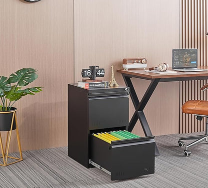 2 Drawer File Cabinet with Lock, Vertical File Cabinets for Home Office, Printer Stand, Heavy Duty Steel Office Storage Cabinet for Letter/Legal/A4, Assembly Required(Black)